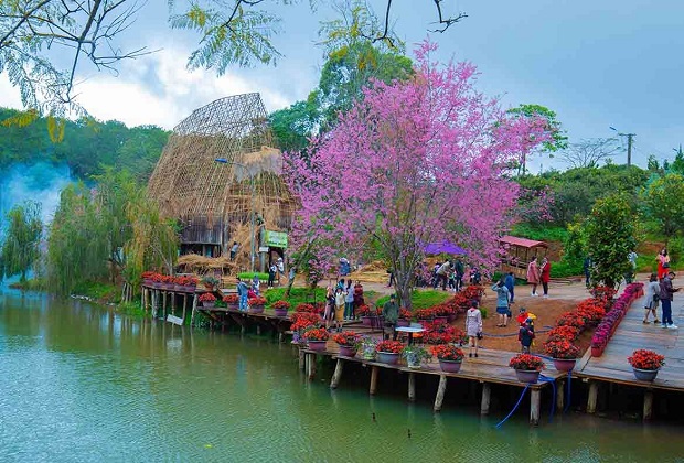Kinh Nghiệm Đặt Tour Măng Đen 2 Ngày 1 Đêm Chi Tiết Nhất